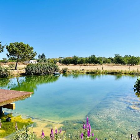 Glamping On Organic Yoga Farm With Natural Swimming Pool Near Beach Moncarapacho Esterno foto
