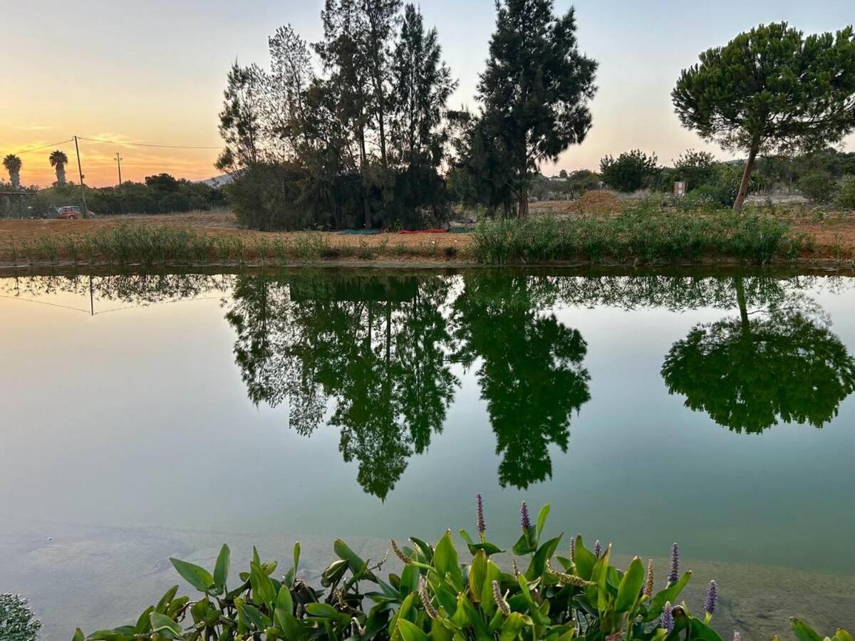 Glamping On Organic Yoga Farm With Natural Swimming Pool Near Beach Moncarapacho Esterno foto
