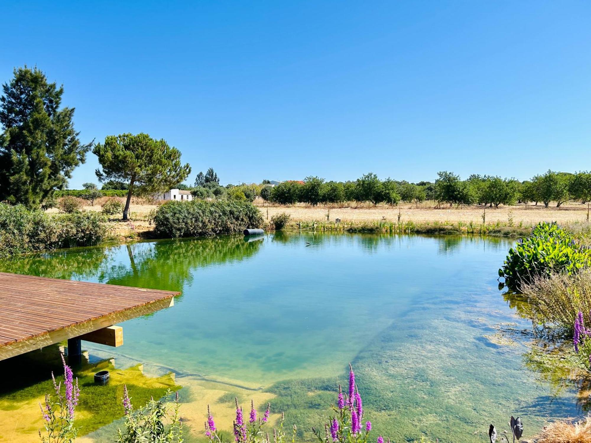Glamping On Organic Yoga Farm With Natural Swimming Pool Near Beach Moncarapacho Esterno foto